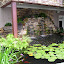 P1010034.jpg P1010034.jpg