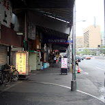tsukiji fishmarket in tokyo in Ginza, Tokyo, Japan