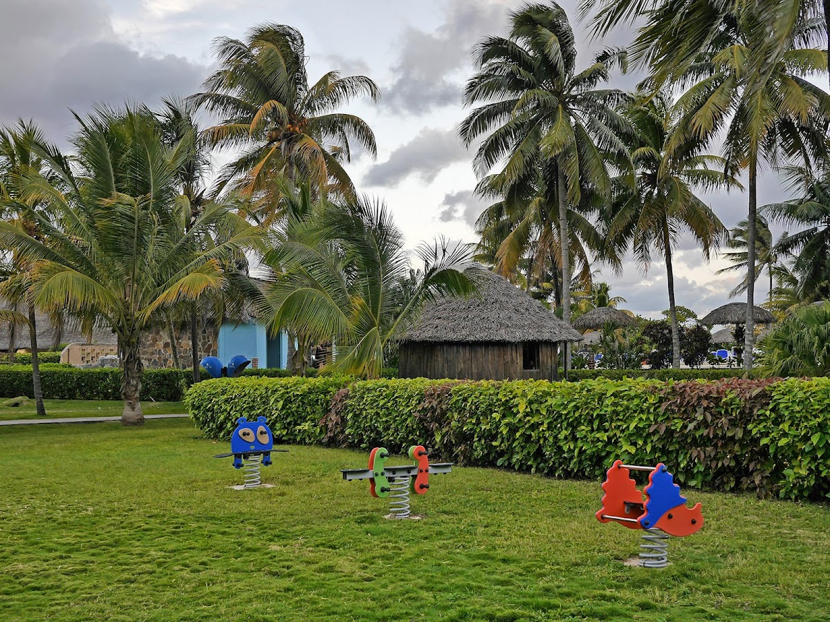 P1310542.jpg