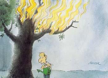 Self-explanatory Shots