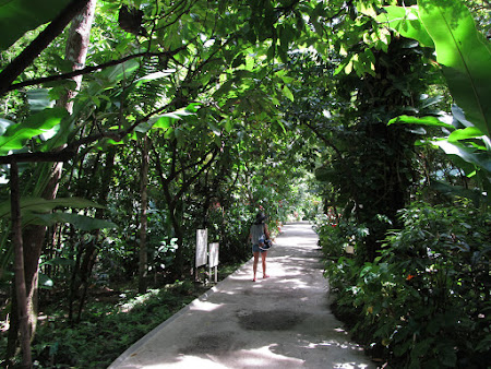 St. Lucia: The Diamond Botanical Garden