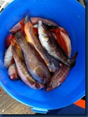 IMG-20120517-WA0000 IMG-20120517-WA0000