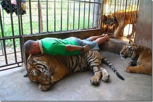 viral-picdump-pics-12