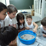 DSC05304.JPG