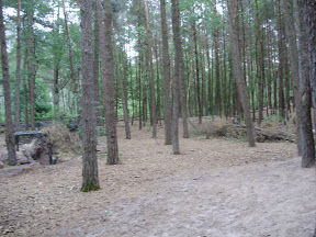 P7030100.JPG
