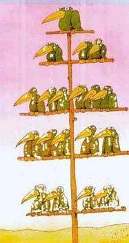 Self-explanatory Shots