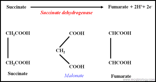 Enzyme inhibition Enzyme inhibition
