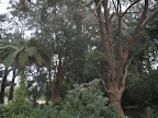 Victoria Park
