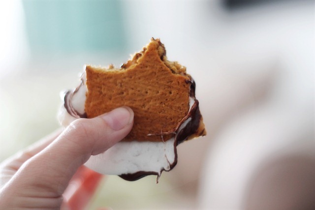 Smores6