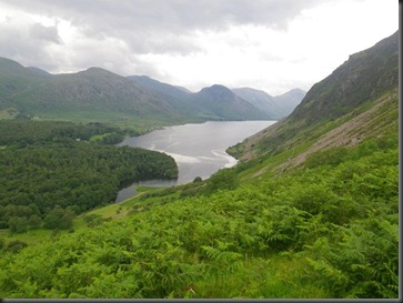 Looking up the valley