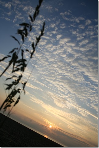 IMG_8974 IMG_8974