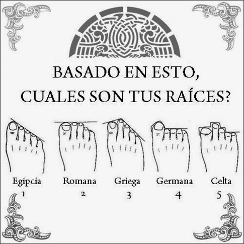 El origen de tus raíces