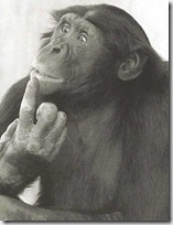 monos piensan blogdeimagenes (15)