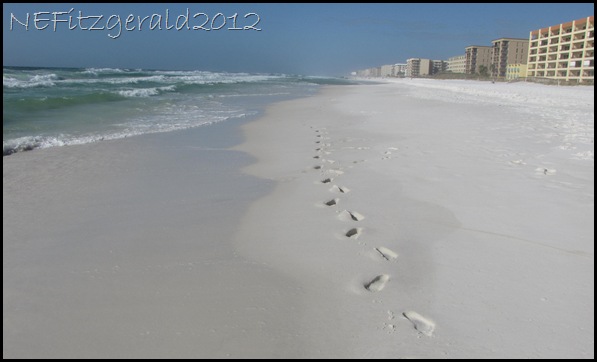 IMG_0135 FootprintsInThe Sand IMG_0135 FootprintsInThe Sand