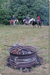 IMG_4505 IMG_4505