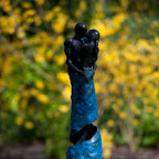 DSC_0822.jpg