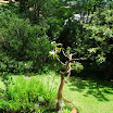 DSCF0721.JPG