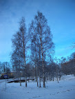 Winter in Kallio