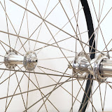 image13.jpg