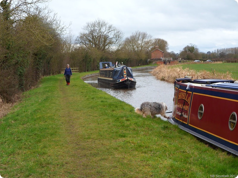 SAM_0012 Below Marbury Lock