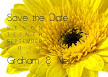 Yellow Gerbera 1 Save the Date