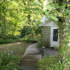 Back Steps.jpg