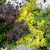 DSC02612.JPG