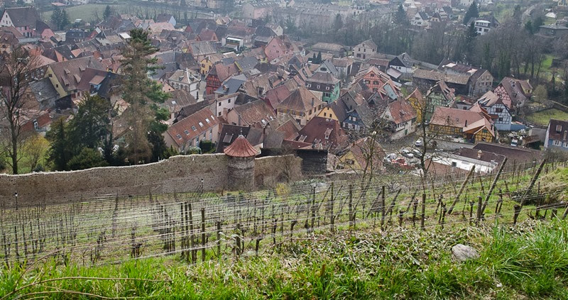 Ribeauville Blog-26