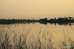 Amu Darya River Bank
