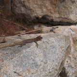 P5273321.JPG