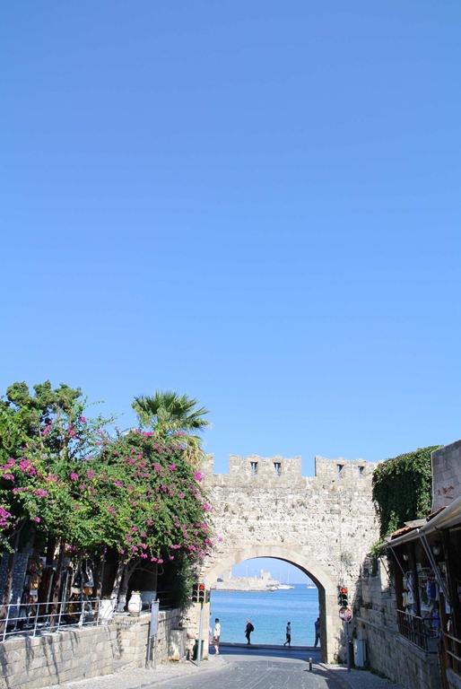DSC_0815 DSC_0815