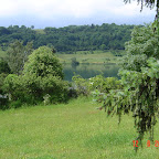 DSC02331.JPG