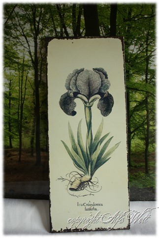 blechschild