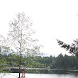 camp%2520discovery%2520tuesday%2520007.JPG