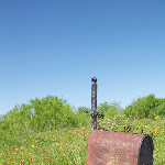 IMG_4893.jpg