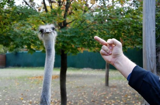 [viral-picdump-pics-19%255B2%255D.jpg]
