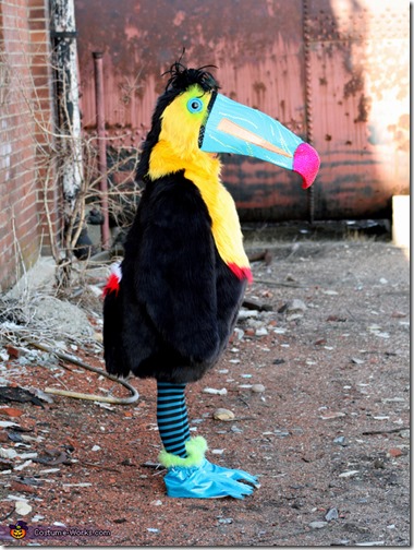 penguin_and_toucan2 penguin_and_toucan2