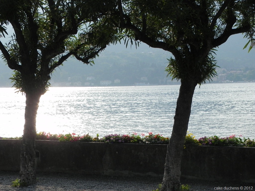 [DSCN1234%255B6%255D.jpg&description=Silent Sunday Italy: Bellagio')]