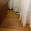 DSCN0256.JPG