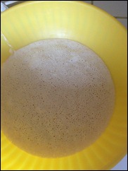 IMG_3716 IMG_3716