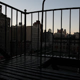 NY - Divers