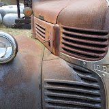 "Dodge" - copyright David Thompson