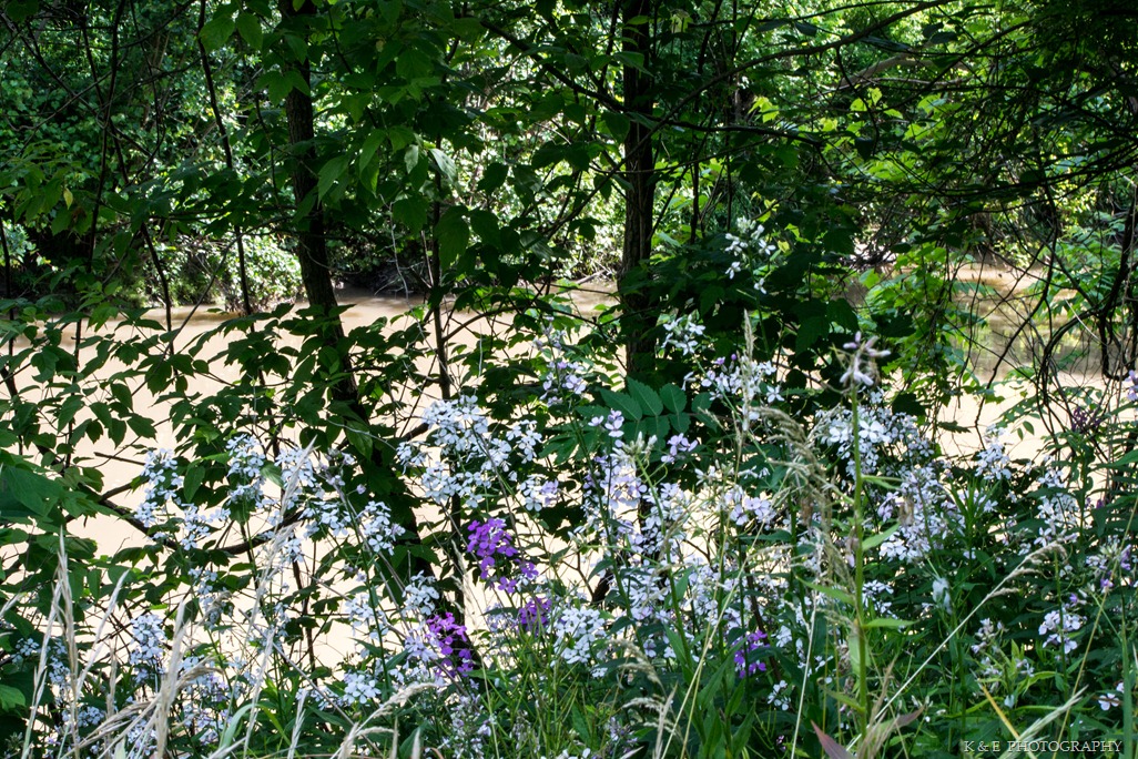 [Spring%25202013%2520%252831%2520of%252053%2529%255B3%255D.jpg]