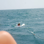 IMG_0239.jpg