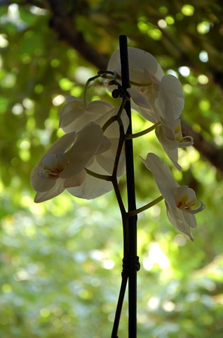 [DSC_0113%255B3%255D.jpg]