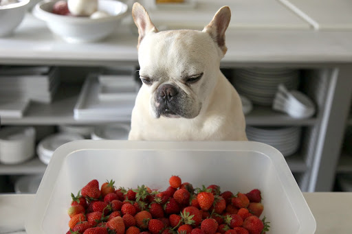 There are many things that can cause a strawberry to come out lumpy or odd-looking.  Nutrient deficiencies in the soil, garden pests, and harsh chemicals can all do it.  And if the flower of the plant gets disturbed or damaged in any way, the fruit will be funny looking.