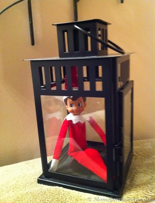 Elf on the Shelf by MomsGonnaSnap (12)