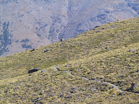 IMG_5102.JPG