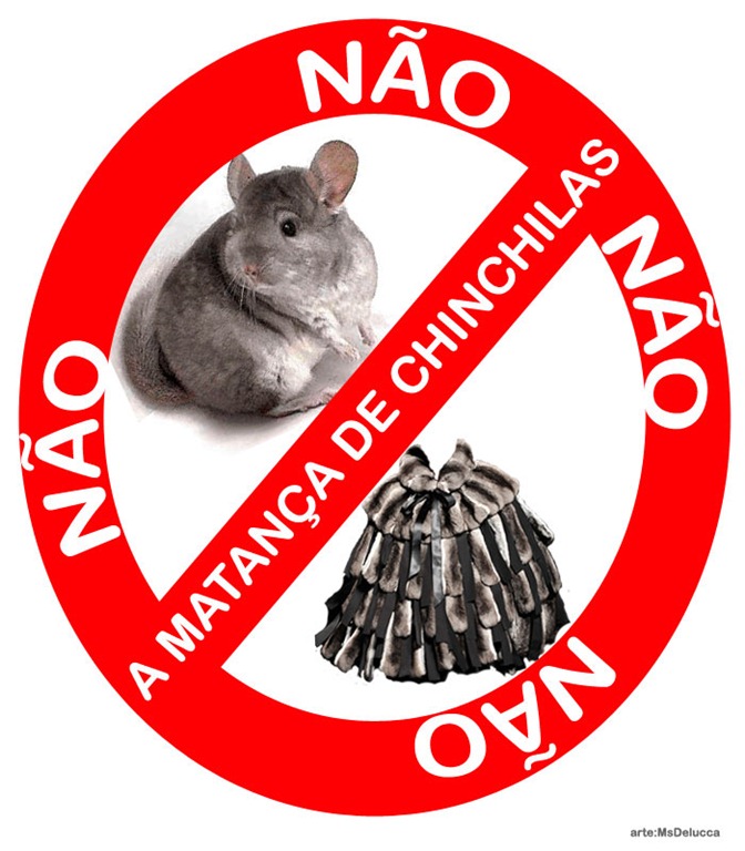 [naoamatancachinchilas%255B2%255D.jpg]