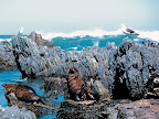 Sprachaufenthalt Wellington